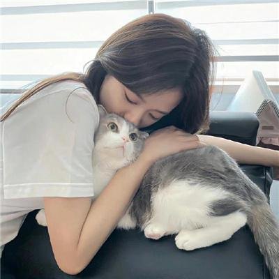 狗的生涯